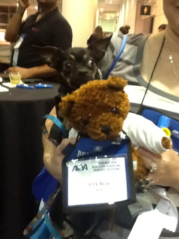 ASABear2013's tweet image. Meet my new animal friend! #asa2012