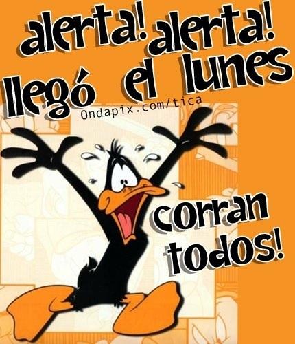 DAMAPATOLA's tweet photo. @AndreaBiondo4 @mario_baquerizo @karloskalde @miguelmanzov @victor_estevez @biondo_mario buongiorno :) buenos días! ;) http://t.co/qEn6pxCz