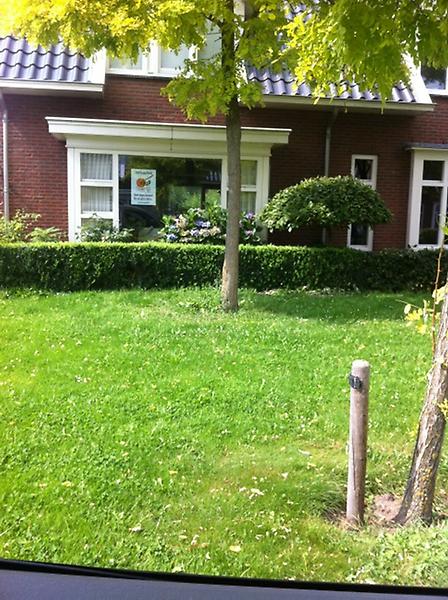 jacky bergwerf tweet media