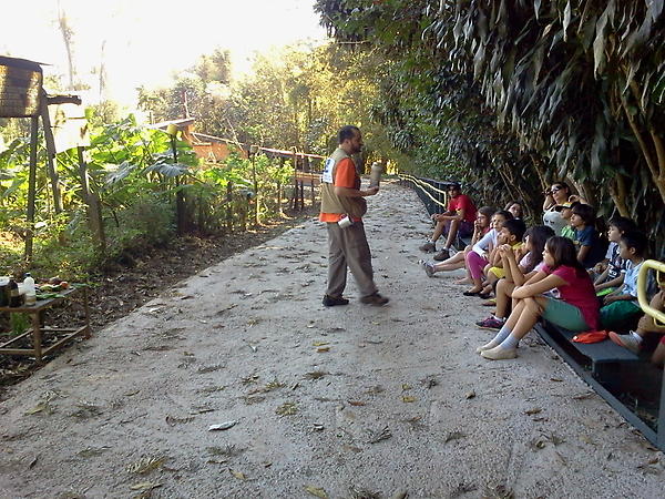 hugosarmento's tweet photo. Aula de biologia no meio da horta orgânica. 4o ano em estudo do meio. http://t.co/v5o9c91Q