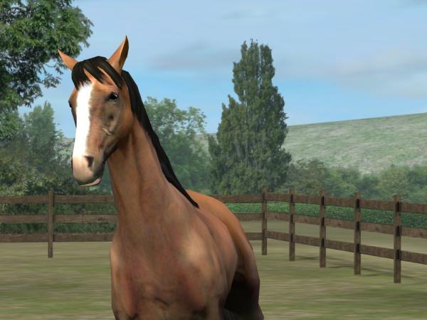 erick ivan c.  tweet media