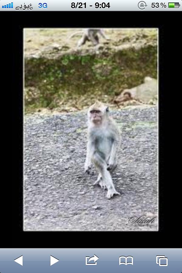 jwan_ph8's tweet photo. “@Altharwni:

شفت المشيه العارضيه للازيائيه ؟؟

 http://t.co/1RDXVNa8” 

😄😄😄