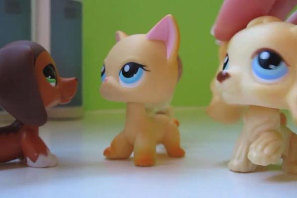 brookehayeslps's tweet image. Hagah