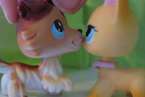 brookehayeslps's tweet image. We were so good together oo well