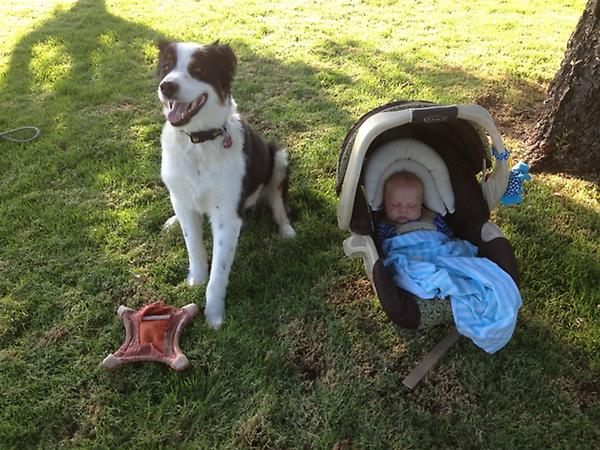 Jacob Miller tweet media