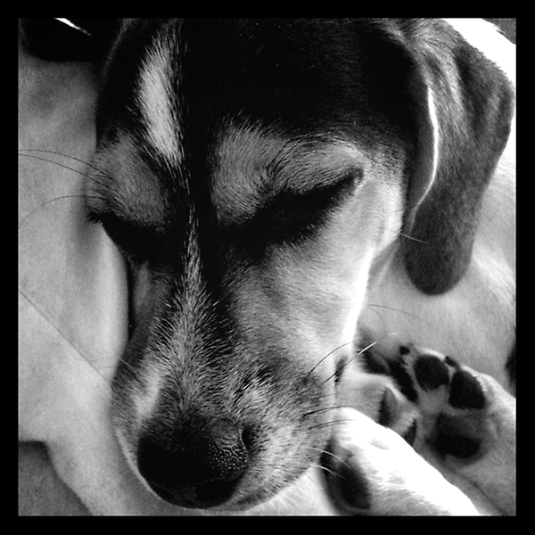 James Ramos tweet media