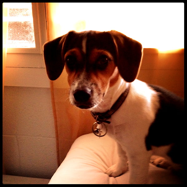 James Ramos tweet media