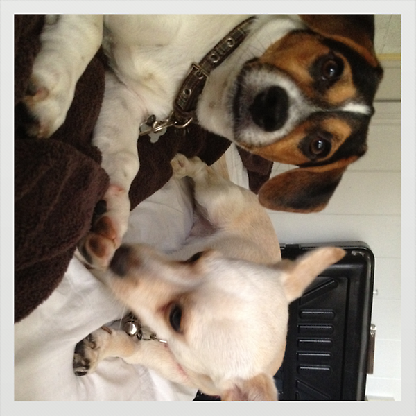 James Ramos tweet media