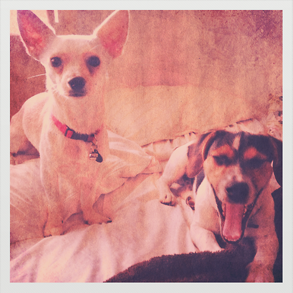 James Ramos tweet media