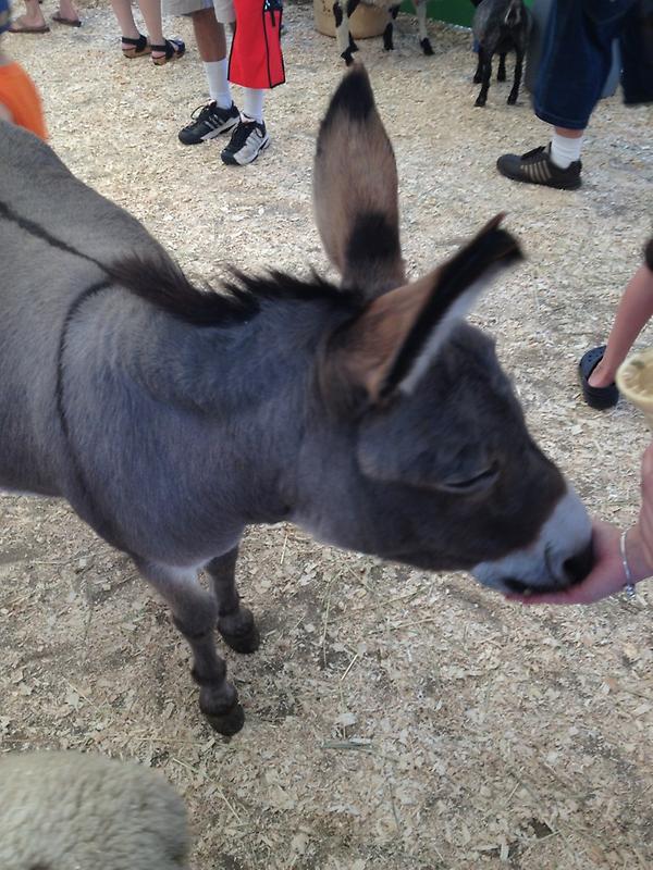 thomas fogarty tweet media