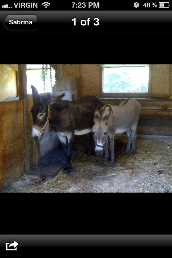 thomas fogarty tweet media