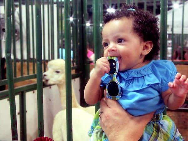 TradeSnipeiSara's tweet image. I miss my baby:( #zoo #daysago