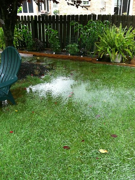 Matt_The_Beard's tweet image. The river Berwyn (aka the back yard). #crazyintenserain #lostpower