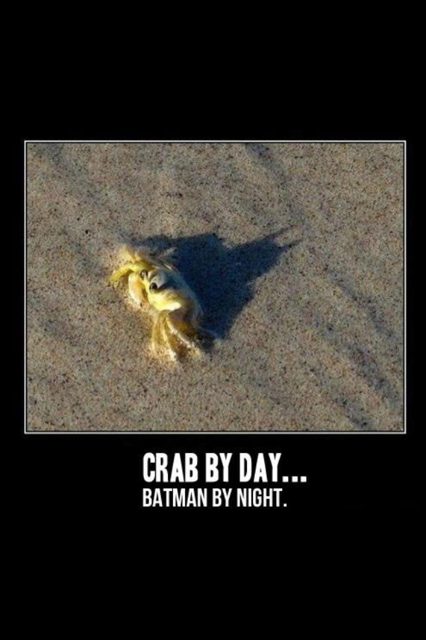 LifeInHard tweet picture