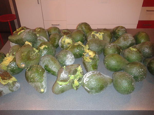 conca72's tweet photo. Recibì hoy paquete desde Melipilla. OT 53047020 Una verguenza! y la vez anterior comida por ratones!!!!!! en Chillàn. http://t.co/Wtb2ultR