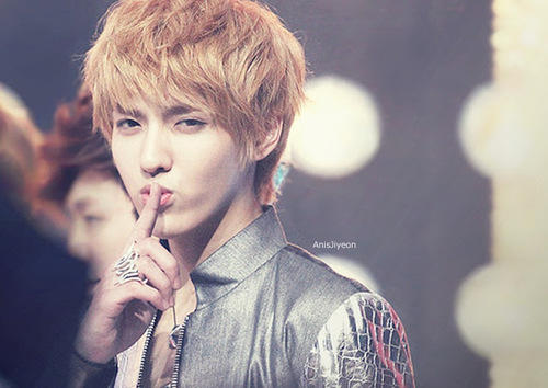 TaoRisID's tweet photo. #Pict #Kris http://t.co/fTIMkaQd