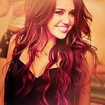 sofiaixchel tweet picture