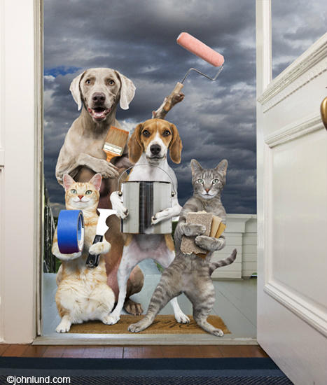 GenRepLLC's tweet image. Be careful who you get to help you paint!  Hire a pro and know what you're getting.