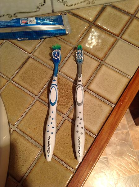 emmaasuttonn's tweet image. Matching toothbrushes - wasn't even planned @Bantermachine #madetobe #perfectpair #aussieantics