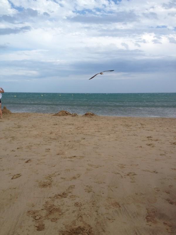 NatMMT's tweet photo. Volando voy... @tam_tam_go @angelafluna @elenube #narbonne http://t.co/uL3KZhGW