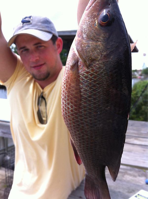 ryanmac516's tweet image. I am a master fisherman haha