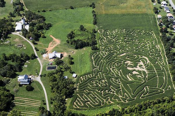 StickleyFarm's tweet image. Aerial shot @Patsummitt tribute @tbayne21 @nascar @bmsupdates #webackpat #bristol