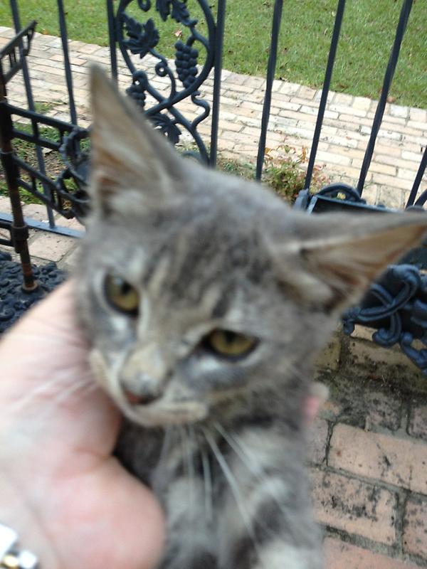 acwalter's tweet image. @Ywideman