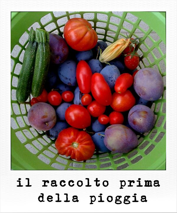 sereQ_'s tweet photo. buona #domenica di fine agosto http://t.co/7Xwfr6hZ