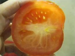 ssqqsss's tweet photo. ماهي الكلمه المكتوبه ع شريحة الطماطم ؟؟ صدقوني تستحق الريتويت http://t.co/HZMN2nF2