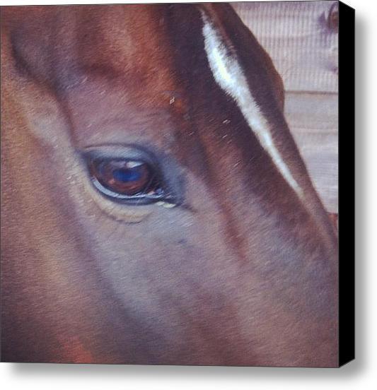 AakkosetDesign's tweet image. I posted a new Instagram photo for sale on Instaprints.com! "My Horses Eye" instaprints.com/featured/my-ho… @instaprnts