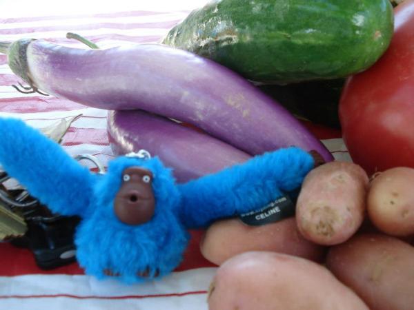 steffiesgarden's tweet photo. Me and my KiplingMonkey hit the Farmer's market yesterday. Yummy Asian Eggplant dish for dinner last night http://t.co/Lw0NEPYJ