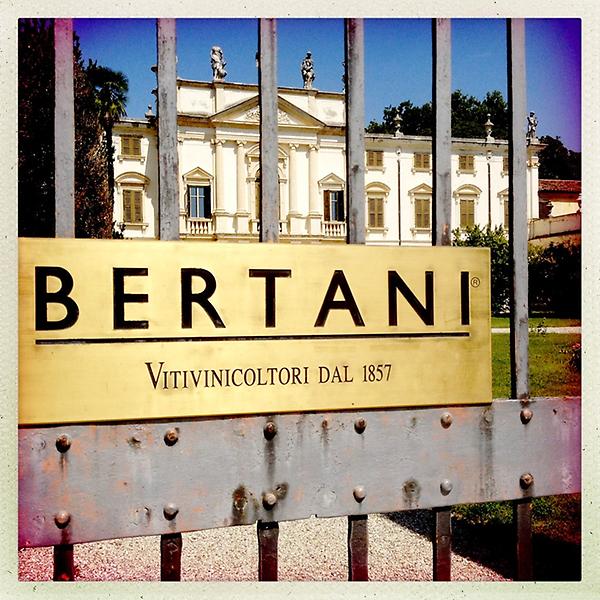 Estevino's tweet photo. vertical tasting @Bertani 
04,86,75,68
@SaraDISHnyc @wine @WineWiseGuy @Mariobatali @JamesSuckling @RobertMParkerJr http://t.co/5gZ1UxWr