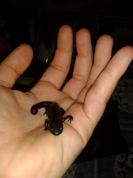 esmeshine's tweet photo. Mi pirindolo hoi tiene ganas de party jaha! http://t.co/NWSOT1bA