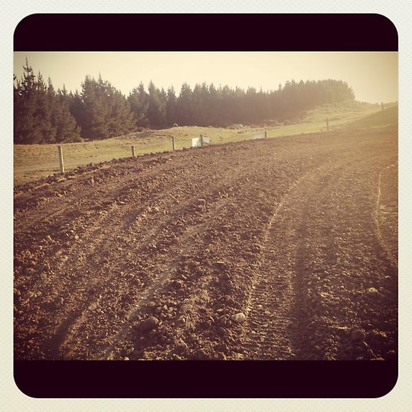 BackflipsNZ's tweet photo. The conditions at the backflips Moto track were epic today .getting our groom on for the weekend! Live Life &amp; Commit! http://t.co/xsmV7MGl