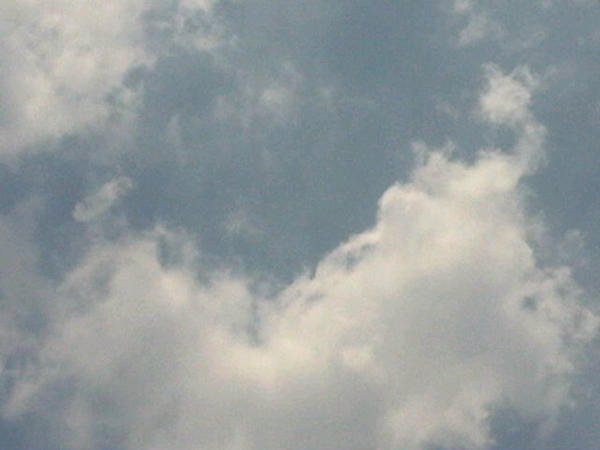 Selamat siang Nusantara :) legalisasiganja.com