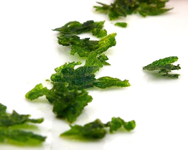 More from <a href="/Modernist_Veg/">Eddie Shepherd Books</a> - Sous Vide butternut squash w/ juniper and sage. With fried nettles &amp; nettle purée