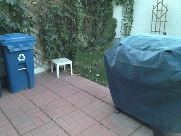 Devin Johnston tweet media