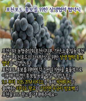 포천시와농협중앙회포천시지부,가산,소흘,일동,포천 농협이 포천포도의 가치향상을 위한 상생협력홍보협약을 체결합니다.9.1부터 KBS2FM을 통해 박해미씨가 출연하는 광고와 우금리 방호벽의 포천꿀포도 광고 기대해주세요~