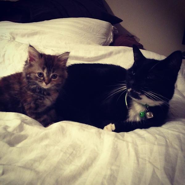 SarahRix's tweet photo. @Kathy_Valentine of course! http://t.co/0Pffp4P0