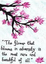 TinyBoobProbz's tweet photo. Hooray for late bloomers! http://t.co/vZUhAL8A