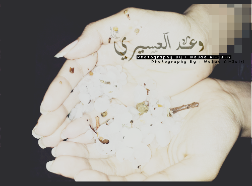 wa3ody2's tweet photo. كآن أحلى أيآم نزل فيههآ مططِر ، حتى البرد كسر يديَ بسً إنبسطنآ ( ي ربَ إرزقنآ ) http://t.co/S23XrTpv