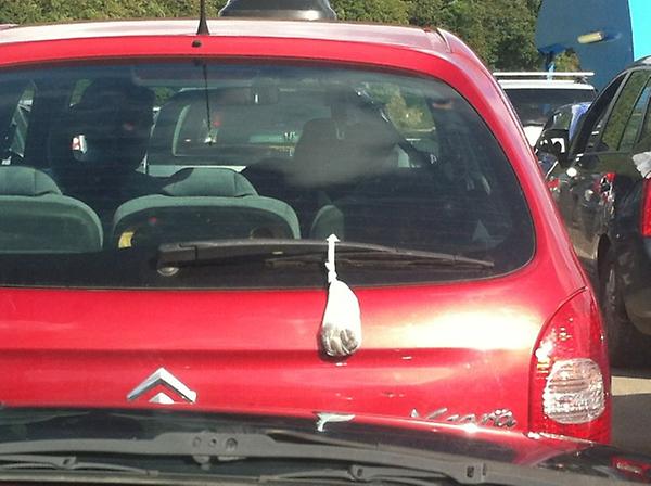 Sitting on King Harry Ferry. Bag of dog shite hanging off car in front. The dilemma...do I tell!!!