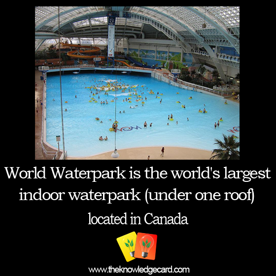 knowledgecard's tweet image. #Knowledge #KnowledgeCard #Card