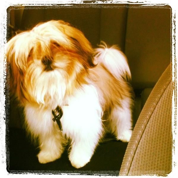 JavierVeHa's tweet photo. http://t.co/OoevHw14