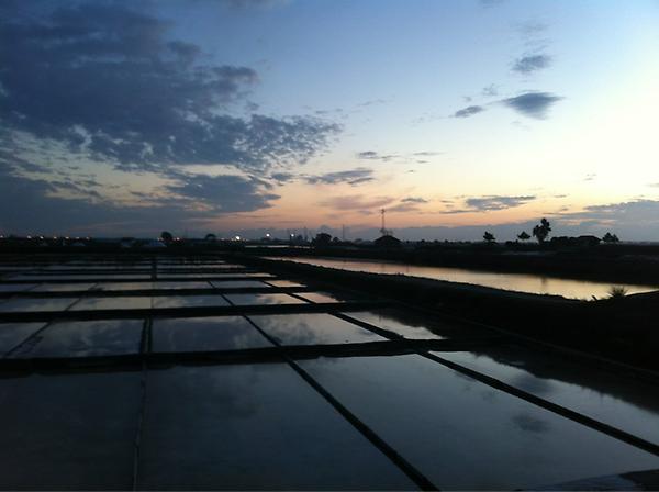 #Aveiro salinas view just amazing