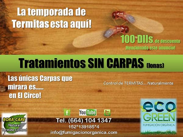 EcogreenO tweet picture