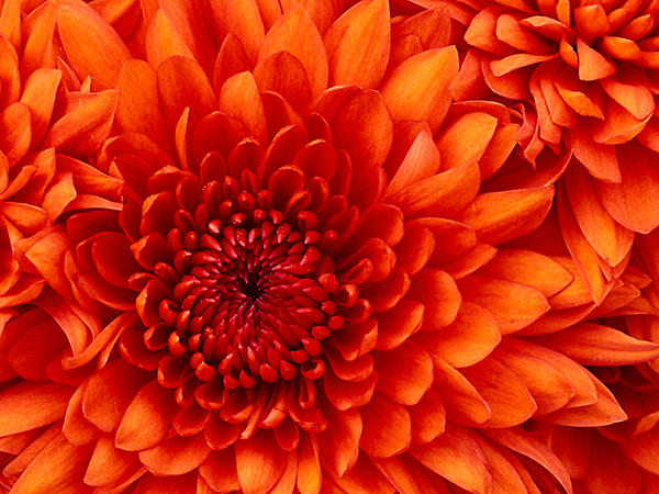 caramelmacchito's tweet photo. test http://t.co/fjR6TDwE
