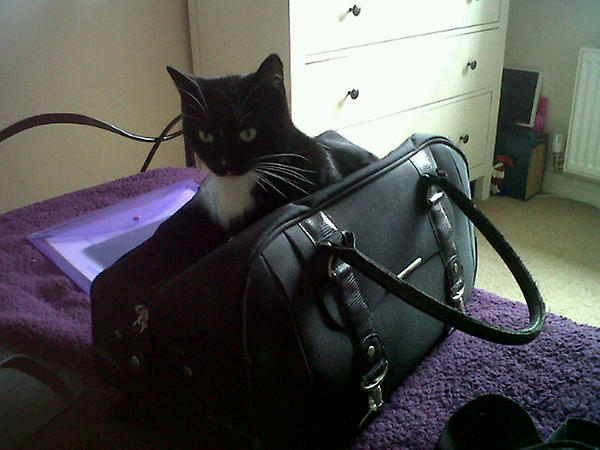 MsMAC21's tweet image. @ErinLCummings I have a similar problem!