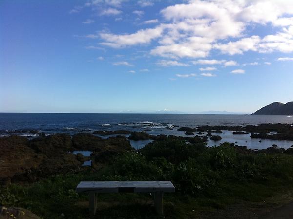 galswc's tweet photo. Wellington turning it right up! http://t.co/wpgwugCz
