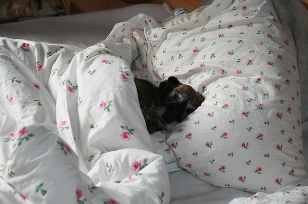 mein baby muss ein schläfchen machen! :D <3